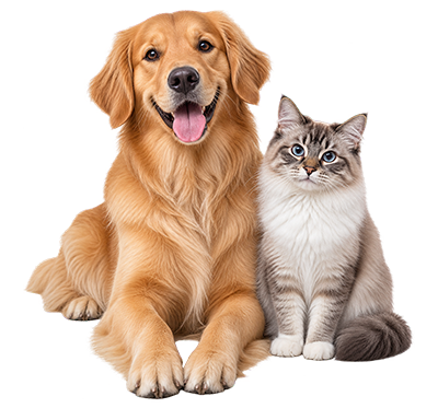 Pet Supplies