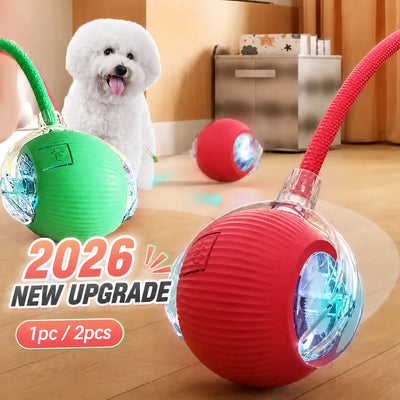 Smart Rolling Ball – Automatic Interactive Dog Toy