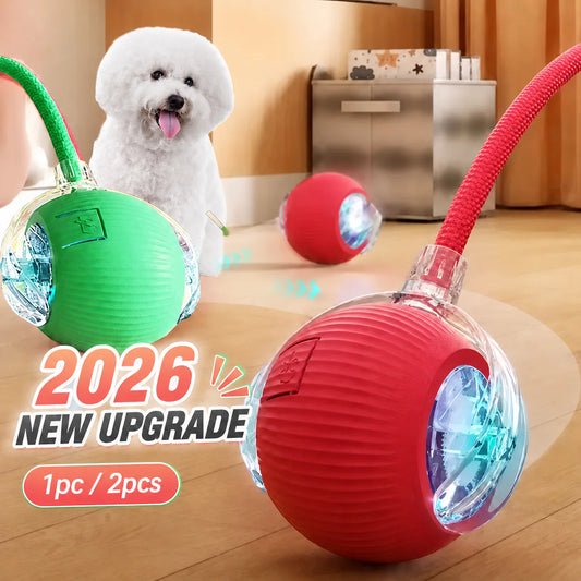 Smart Rolling Ball – Automatic Interactive Dog Toy