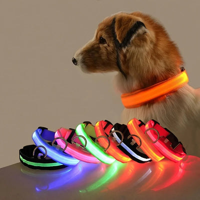 LED Glow Dog Collar – Night Safety Light-Up Collar